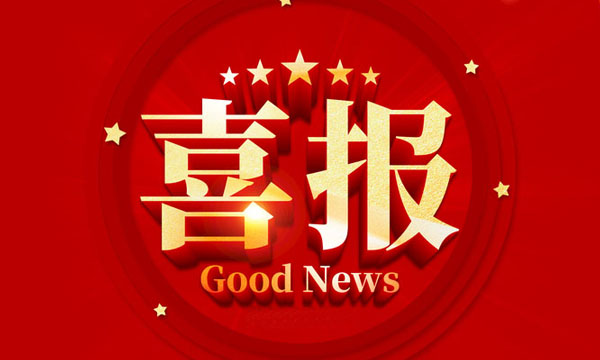 Z6官网荣获国度专精特新“幼巨人”企业称号