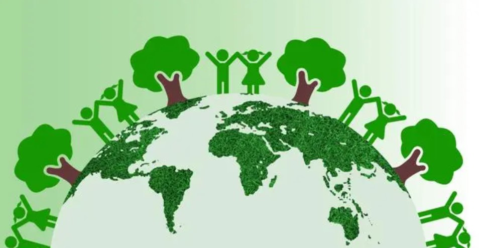 首页- Z6官网中国区人生就是博